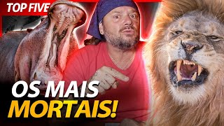 Miniatura do vídeo