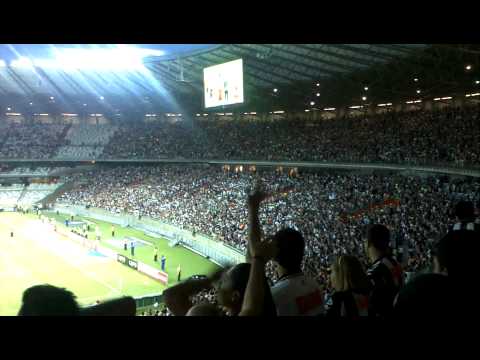 Eôeôeô..o galo e um terror! Eôeôeô..o galo e um terror! Eôeôeô..o galo e um terror!