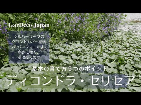 グランジ・ユグネについて詳しく解説