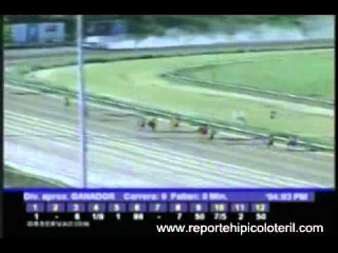 Resumen Sábado 14 de Enero de 2011 - La Rinconada