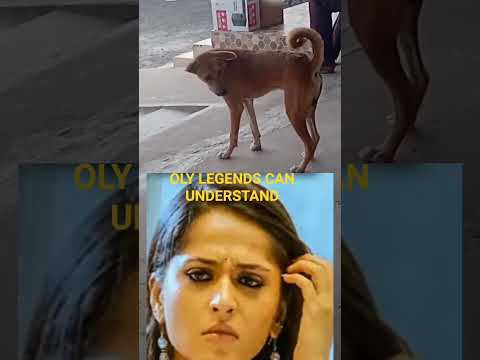 DIRTY DOGGY 😜#dog #dogfunnyvideos