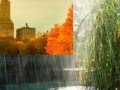New Age - Mehdi - Guiding Light 