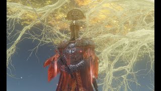 エルデンリング・モーゴット倒したところからちょっと進める[unkomorasi01]