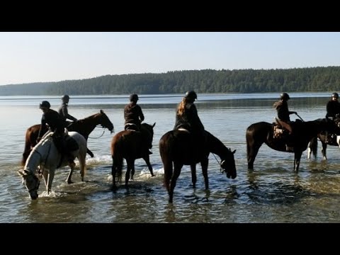 Sasek - Zu Tisch in Masuren (www.sasek.pl)