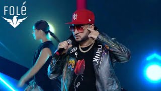 Florian Hoxha - Aroma E Tulipanit