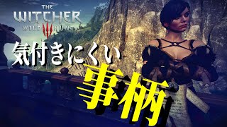 ウィッチャー3：通常プレイでは気づきにくい事柄 in スケリッジ