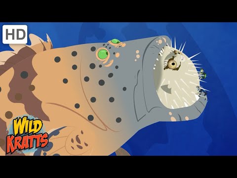 Amazing Adaptations Part 9 | How Animals Survive in the Wild | Wild Kratts