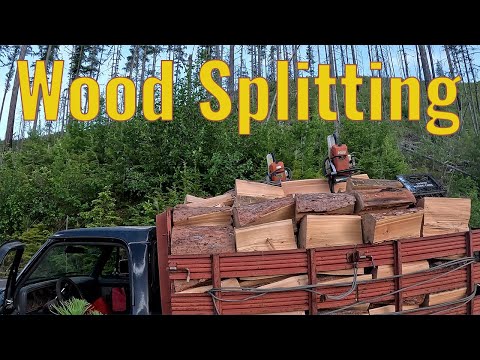 Wood Splitting Process - From Cutting Trees to Splitting Logs