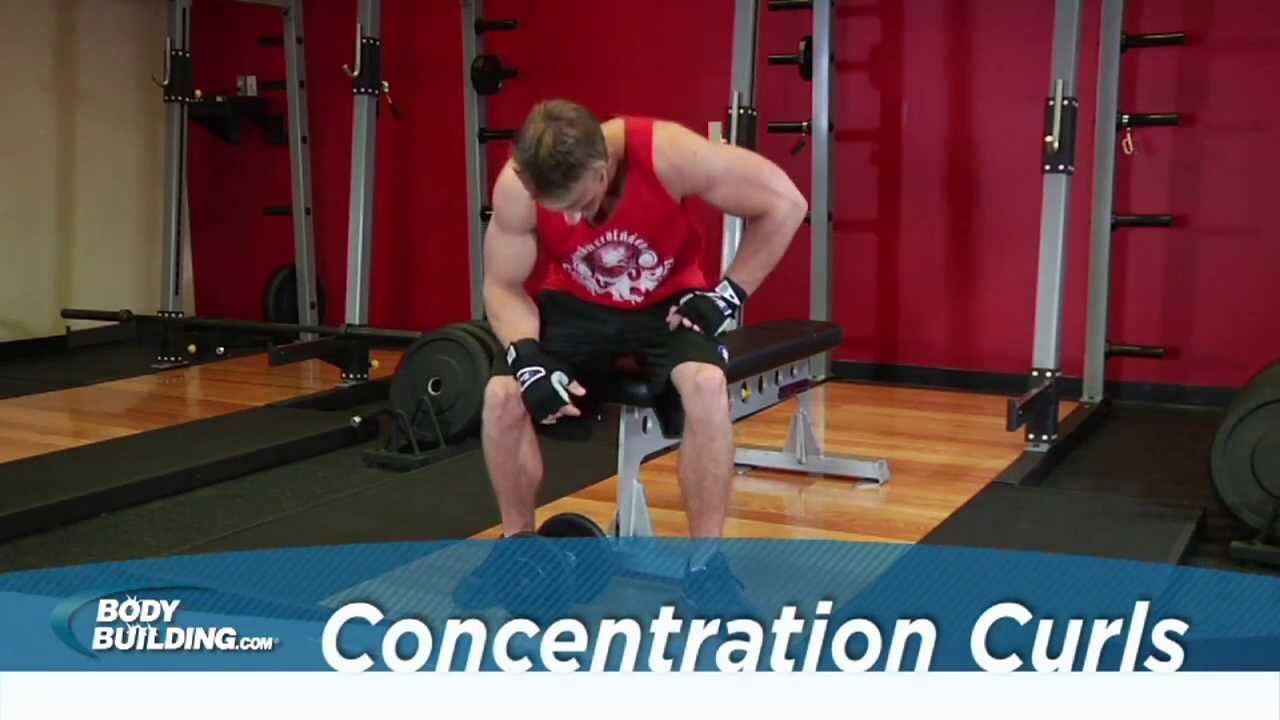 Concentration Curls - Biceps Exercise - Bodybuilding.com - YouTube
