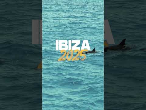 Ibiza's No.1 boat party is BACK. Tickets available now at pukkaup.com #ibiza #ibiza2025