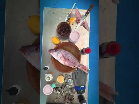 Paraíso Icaraí - Wellness living Amontada CE Condomínio de Lotes e Terrenos- 85 9.8857-1632