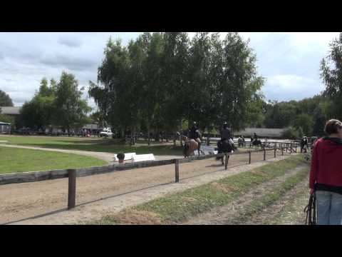 Isafold frá Pétursbergi auf der NRW Meisterschaft 2012/ 1 Platz