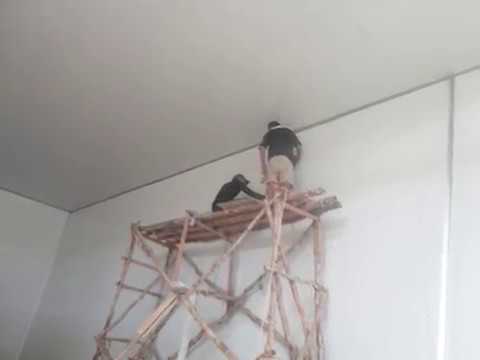 CALL +62822-4558-2777, Jual Sandwich Panel, Insulated Panel System (PU)