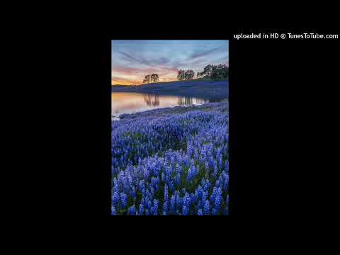 [FREE] guardin x powfu x lofi type beat - 'peace'