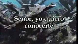 Señor quiero conocerte