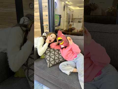 دجاجتي #جوجو #روزا