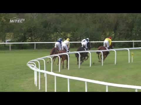 MI, 3. 9. 2017, 7. dostih - Cena firmy KM PRONA pro mladé jezdce