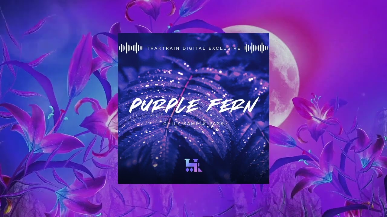 Purple Fern (320+) / Chill Sample Pack | TRAKTRAIN Digital Exclusive