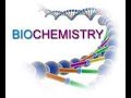 Biochemistry Of Carbohydrates Dr Jamal Part 4