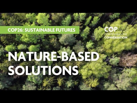 Safeguarding Ecosystems, Protecting Natural Habitats and Keeping Carbon out of the Atmosphere