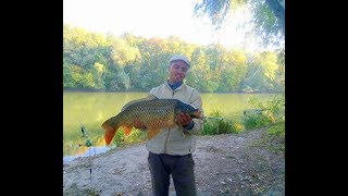 Ловля крупного карпа на реке днестр