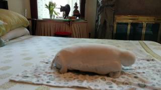 One-Piece Season is Here - Get Ready with Love the Body You Have with Olive