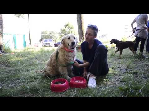 GUNJA   21 05 2014    SPAŠAVANJE I ZBRINJAVANJE ŽIVOTINJA NA POPLAVLJENIM PODRUČJIMA