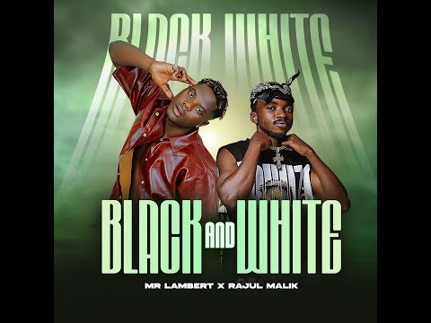 Black & White (feat. Rajul Malik)
