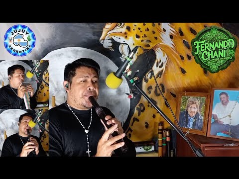El Pintao (Gato)/Fernando Chañi (Fraile Pintado🍅 Jujuy🌵 Argentina🇦🇷)