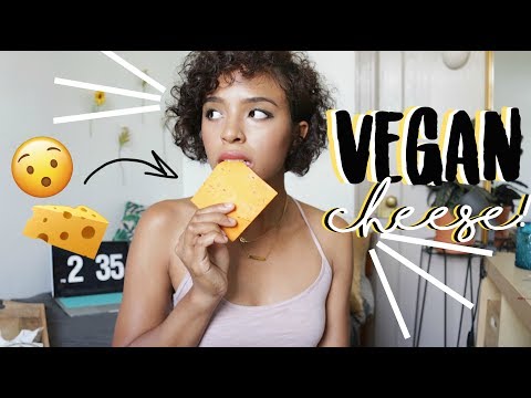 download lagu mp3 mp4 Lactose Free Mozzarella Uk, download lagu Lactose Free Mozzarella Uk gratis, unduh video klip Lactose Free Mozzarella Uk