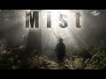 Into the Mists // Woodland Landscape Photography