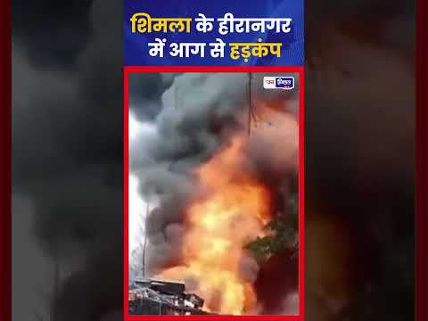 Shimla Heeranagar में Kabadi Store में आग, लाखों का नुकसान