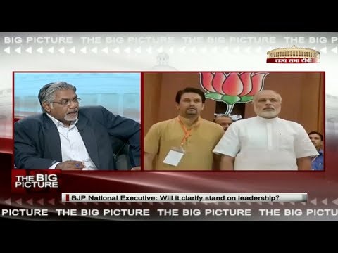 The Big Picture - BJP national executive: Will it clarify the leadership issue?