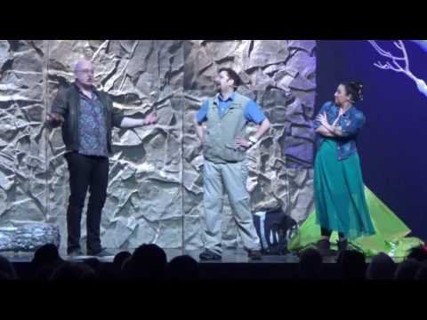 Dumm gelaufen - der Sinn für's Praktische