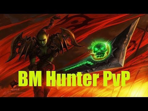 5.4.8 BM Hunter PvP - Popping Boners - Patch 5.4