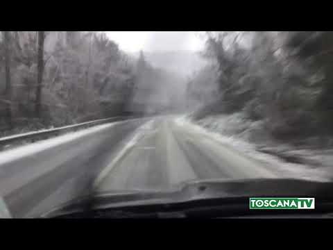 2021-01-10 AREZZO - NEVE NELL'ARETINO, PERICOLO ALBERI E STRADE CHIUSE