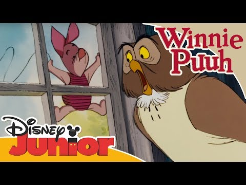 Kleine Abenteuer mit Winnie Puuh - Bei Eule | Disney Junior