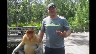 Johnny & Larissa Travel Borneo: Orangutans, Sun Bears and Proboscis Monkeys