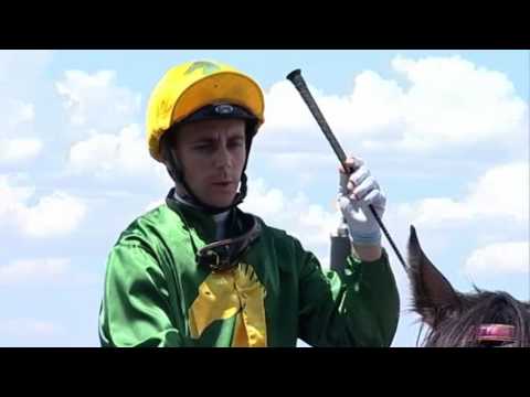 Ascot, 23/12/2015 - Race 3 - RODEO DRIVE - Neville Parnham