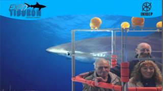 DIA 3 Expo Tiburon43