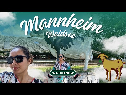 Mannheim Frankurt | Fresh Milk | Waidsee | Waterpark | Beach | Places in Mannheim | Frische Milch