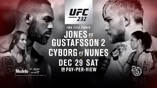 UFC 232: Jones vs Gustafsson 2