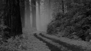 Darkthrone - Quintessence