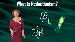 What is Reductionism?
