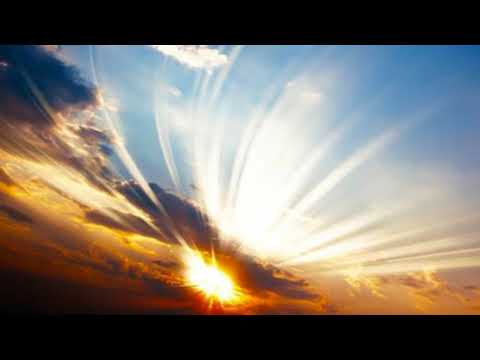 Dubtrash - Back To Our Roots