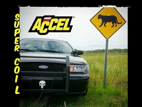 Accel Super Coils for Your Crown Victoria What You Need to Know