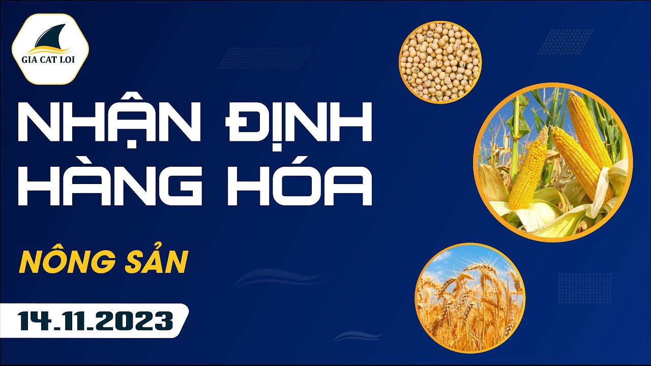 Nhận Định Hàng Hoá Nông Sản Ngày 14/11/2023