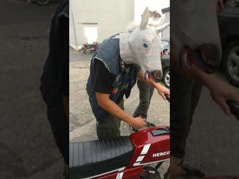 Einhorngeburt Daniel