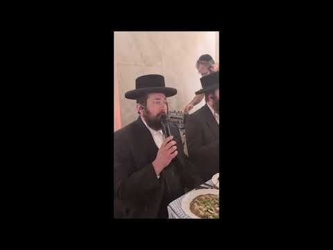 🎵 מקבץ ווקאלי מיוחד של מקהלת קאפלה לימי בין המצרים ותשעת הימים | מיטב הביצועים ברצף
