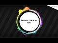 [TPRMX] Beethoven - Symphony No.9 4th 'Ode To Joy' Remix&Arrange